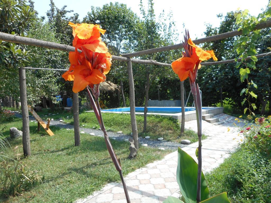 Nona Guest House Shilda Buitenkant foto